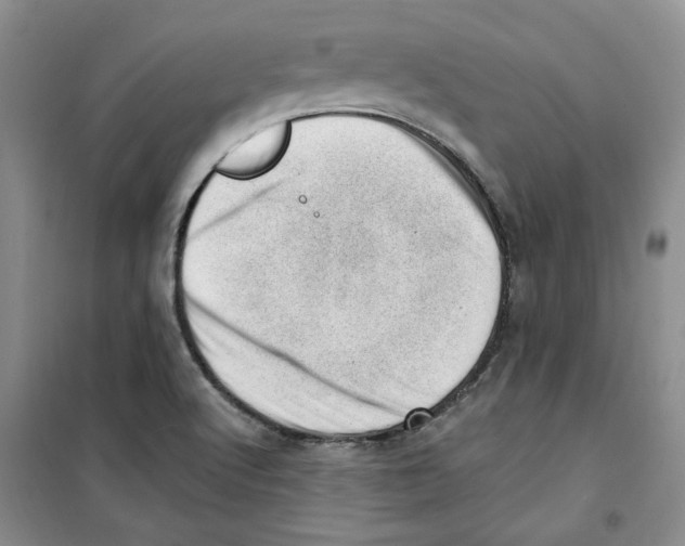 X0000100961512200807221133