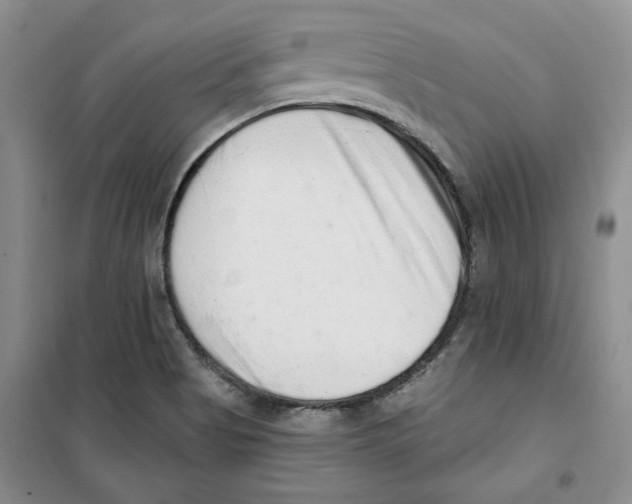 X0000100961513200807221133