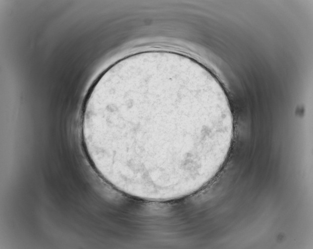 X0000100961514200807221133