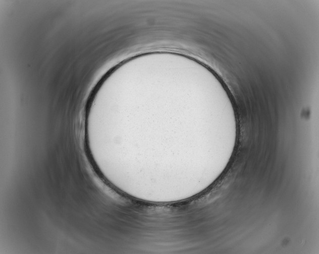 X0000100961515200807221133