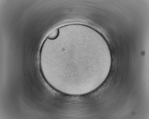 X0000100961516200807221133