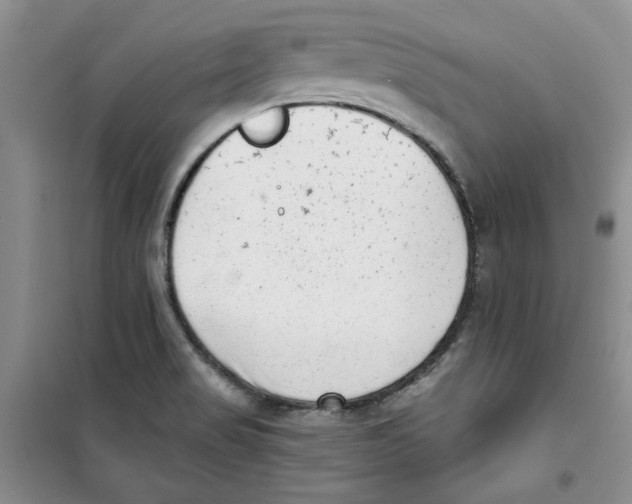 X0000100961517200807221133