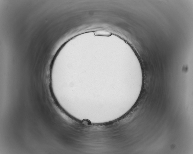 X0000100961519200807221133