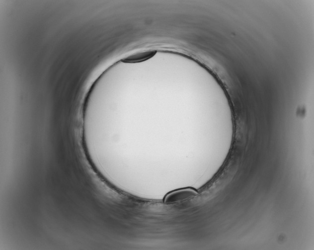 X0000100961520200807221133