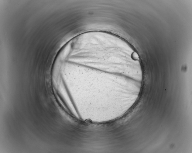 X0000100961521200807221133