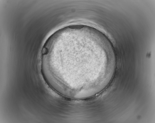 X0000100961522200807221133