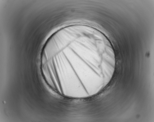 X0000100961523200807221133