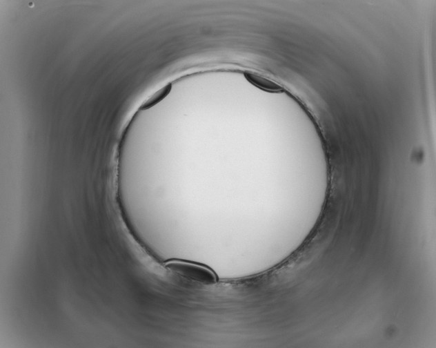 X0000100961524200807221133