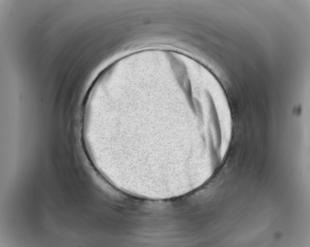 X0000100961526200807221133