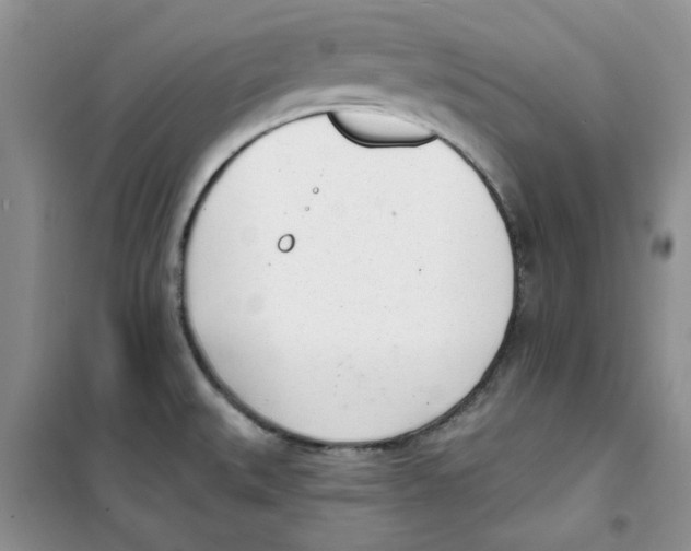 X0000100961527200807221133