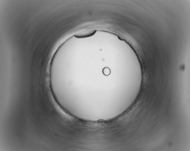 X0000100961528200807221133