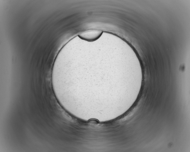 X0000100961529200807221133