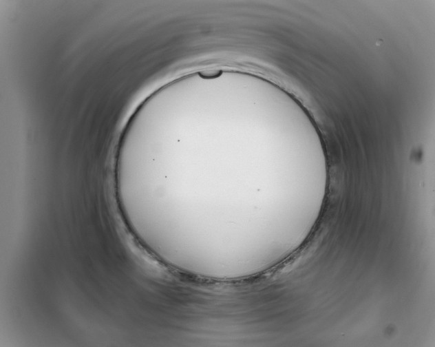 X0000100961530200807221133