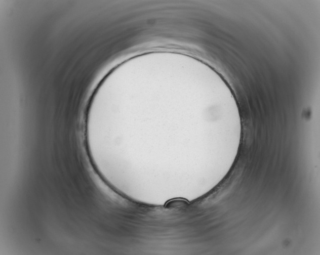 X0000100961531200807221133