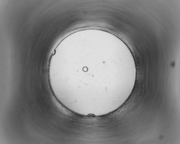 X0000100961532200807221133