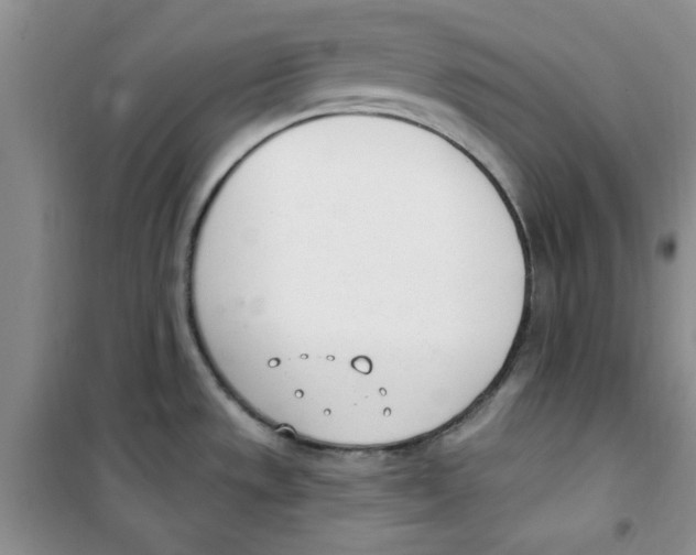 X0000100961533200807221133