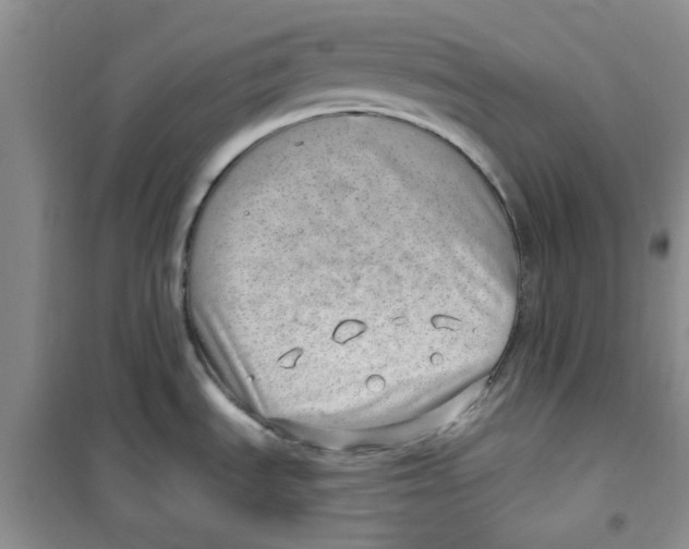 X0000100961535200807221133