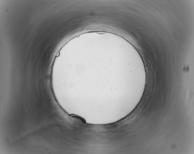 X0000100961536200807221133