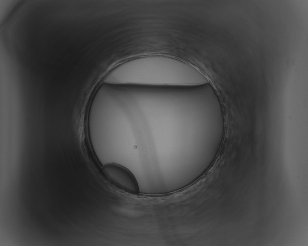 X0000100970002200806241213