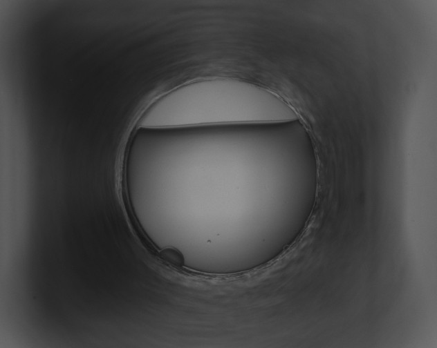 X0000100970003200806241213