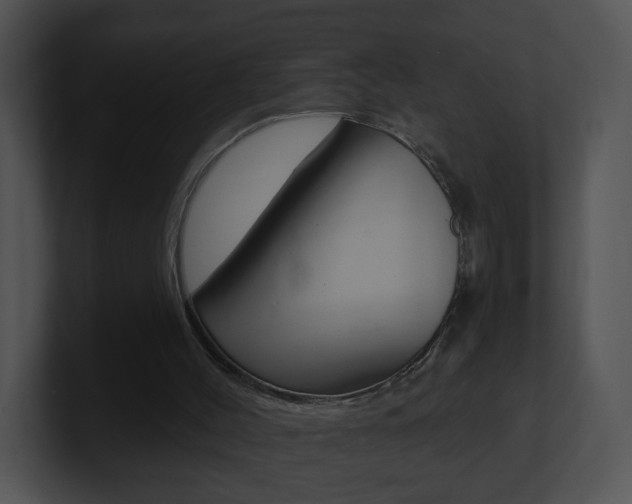 X0000100970004200806241213