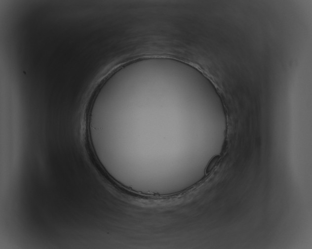 X0000100970005200806241213