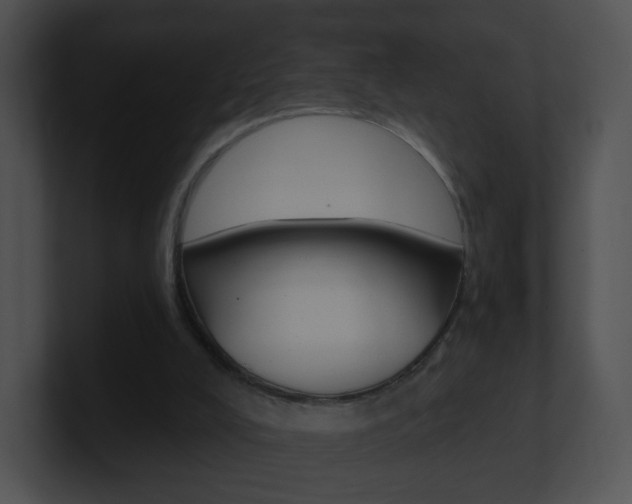 X0000100970008200806241213