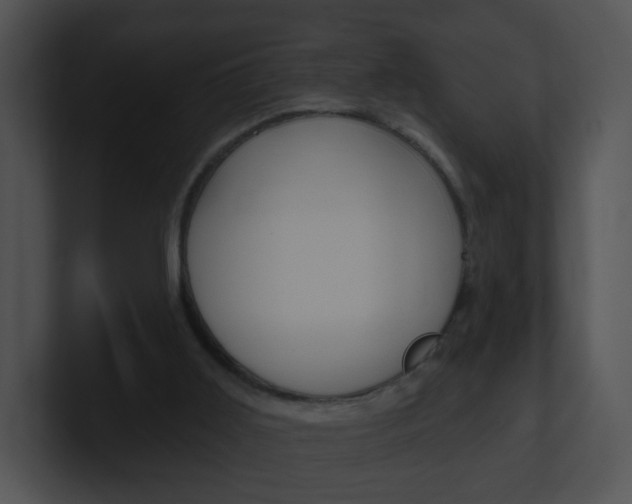 X0000100970011200806241213