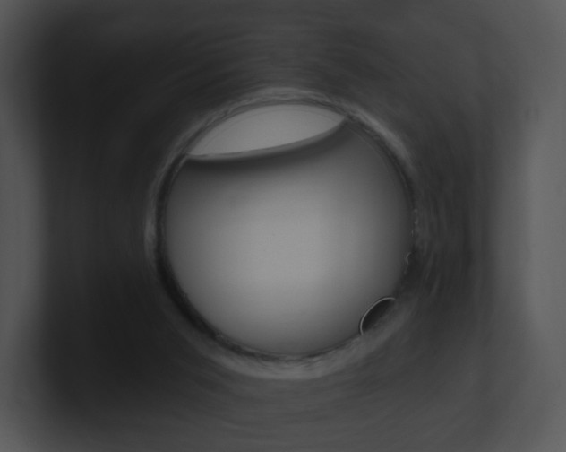 X0000100970015200806241213