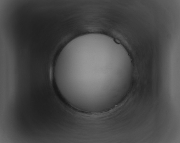 X0000100970019200806241213