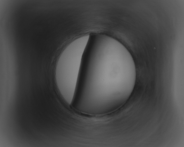 X0000100970020200806241213