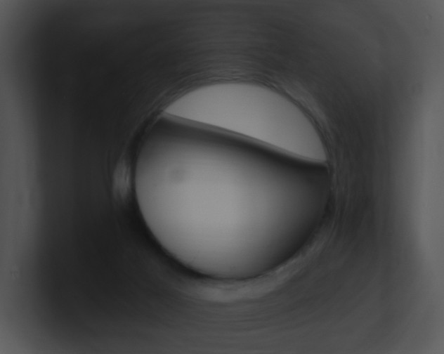 X0000100970021200806241213