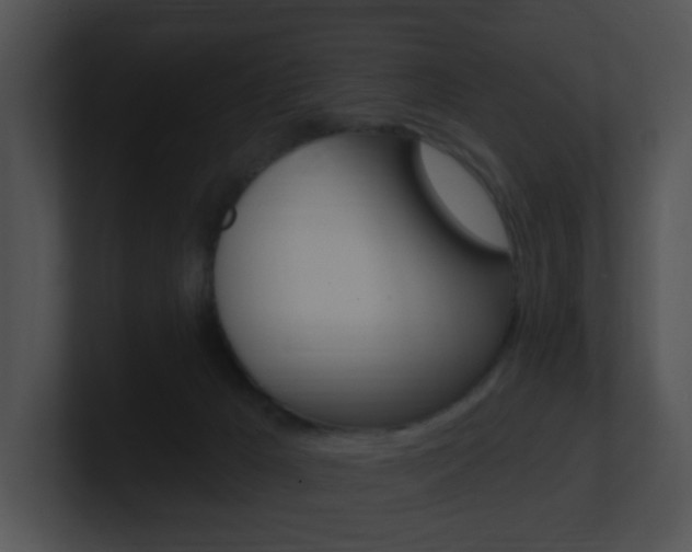 X0000100970029200806241213