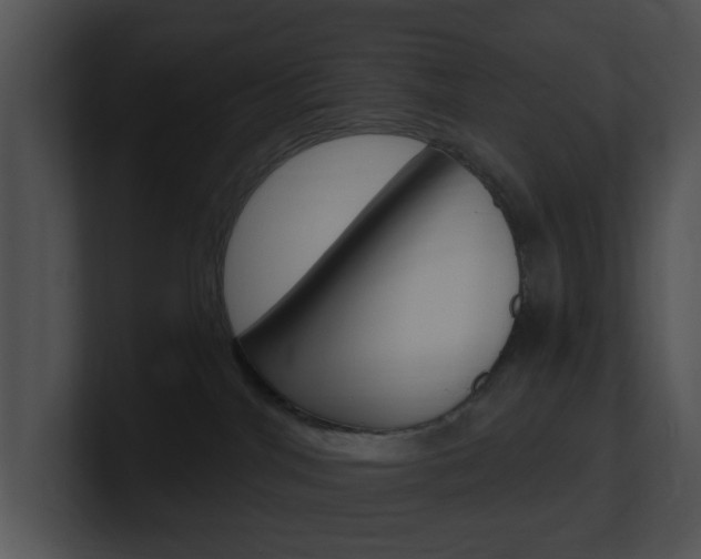 X0000100970044200806241213