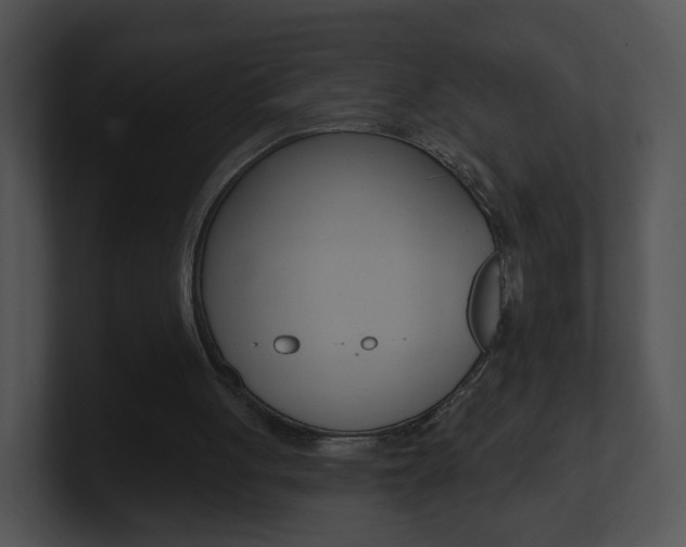 X0000100970051200806241212