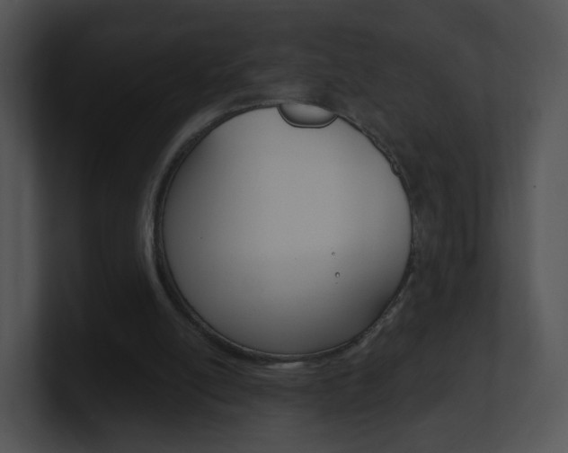 X0000100970054200806241212