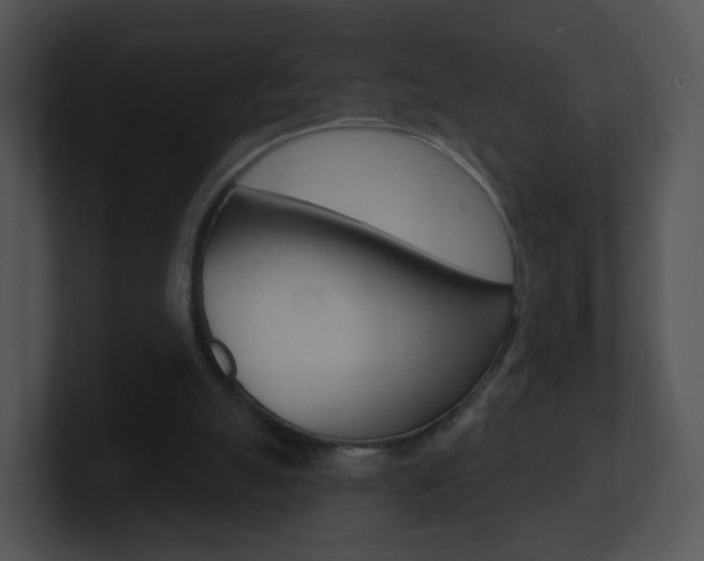 X0000100970055200806241212