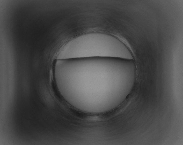 X0000100970061200806241212