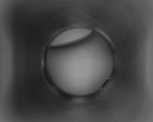 X0000100970062200806241212