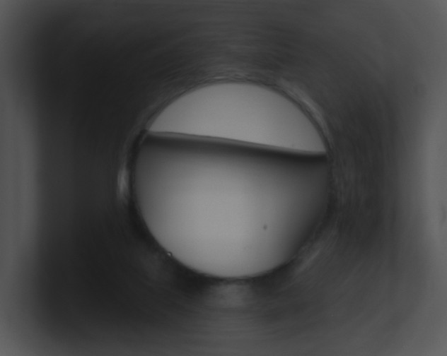 X0000100970067200806241212