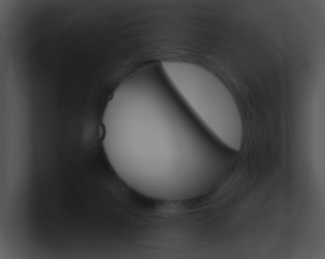 X0000100970079200806241213