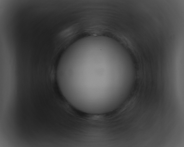 X0000100970081200806241213