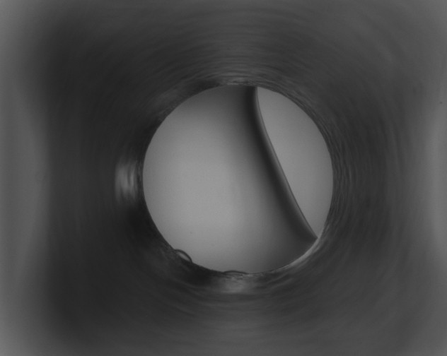 X0000100970094200806241213