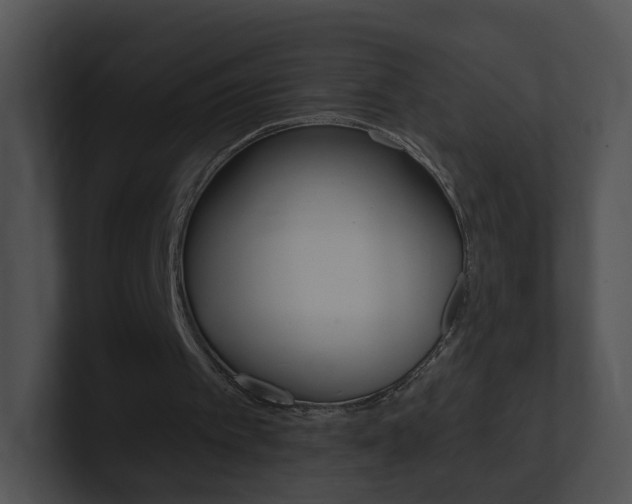 X0000100970097200806241212