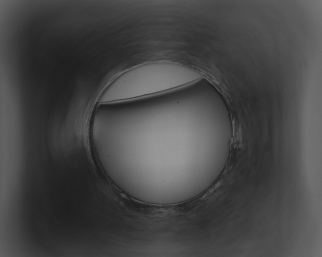 X0000100970099200806241212