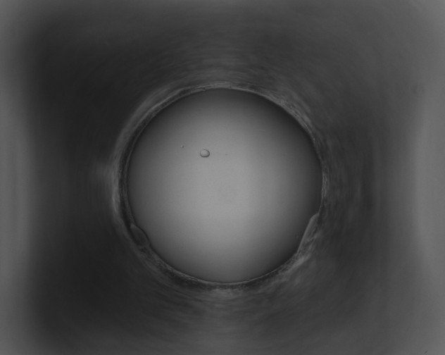 X0000100970101200806241212