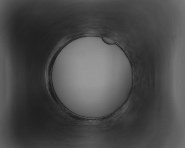 X0000100970102200806241212