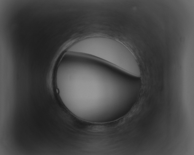 X0000100970104200806241212