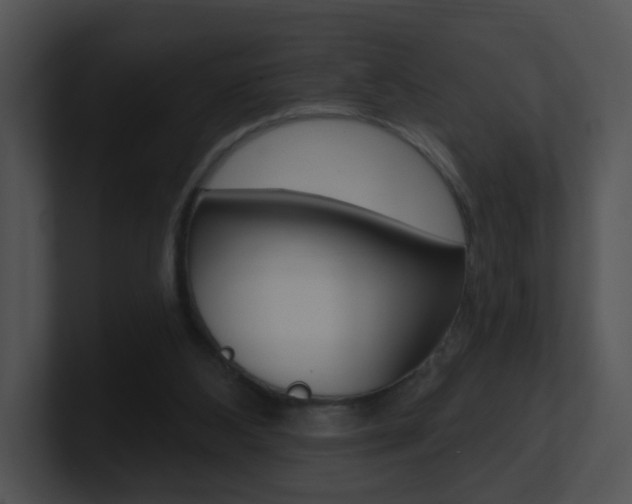 X0000100970108200806241212