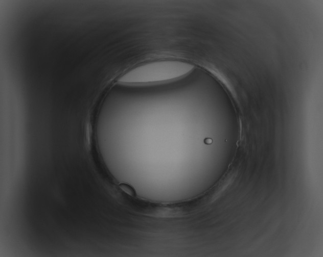 X0000100970109200806241212